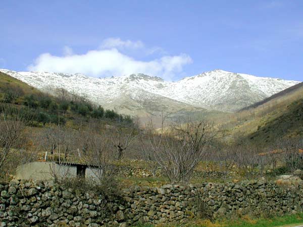 valle del Jerte, Nevado